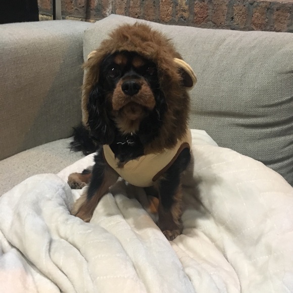 aschrero